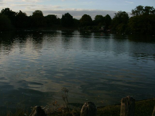 The Highgate Men's Pond, Millfield Lane